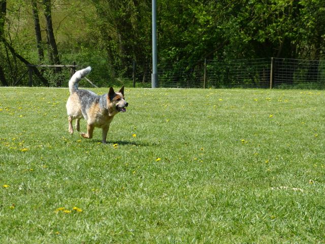 Obi-Prüfung 2016