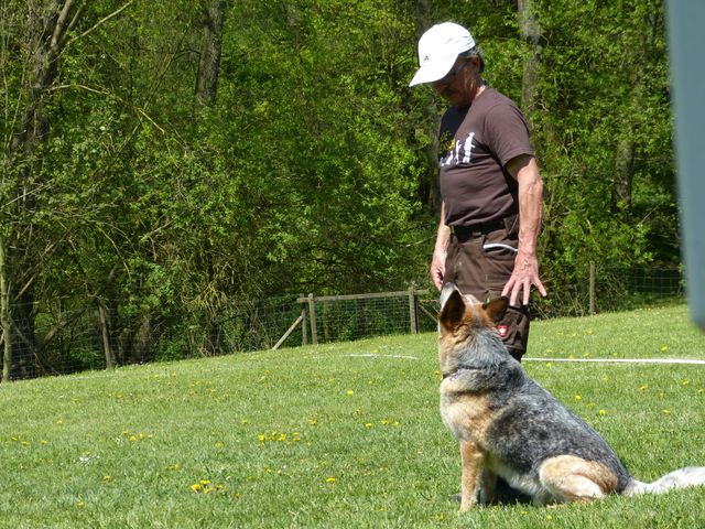 Obi-Prüfung 2016
