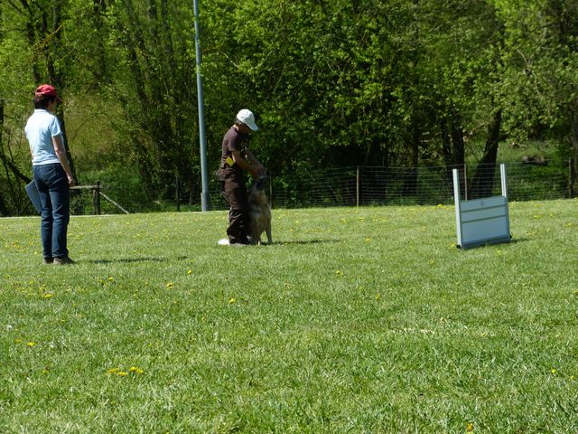 Obi-Prüfung 2016