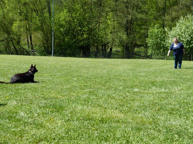 Obi-Prüfung 2016
