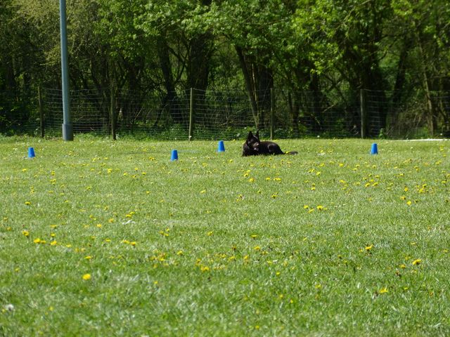 Obi-Prüfung 2016