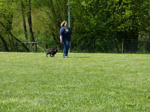 Obi-Prüfung 2016