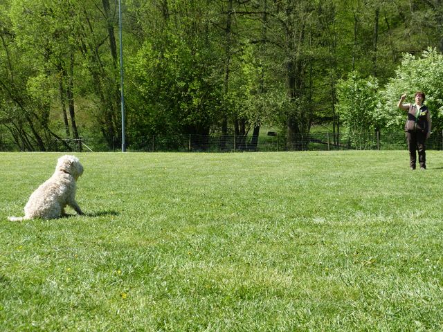 Obi-Prüfung 2016