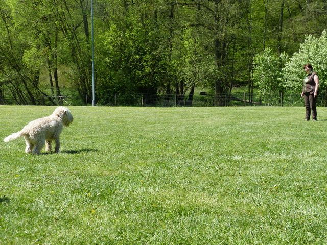 Obi-Prüfung 2016
