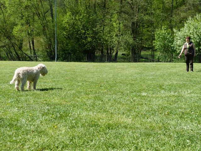 Obi-Prüfung 2016