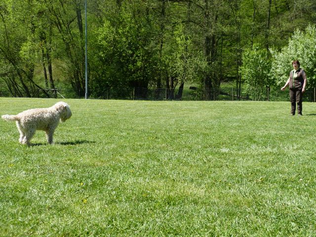 Obi-Prüfung 2016