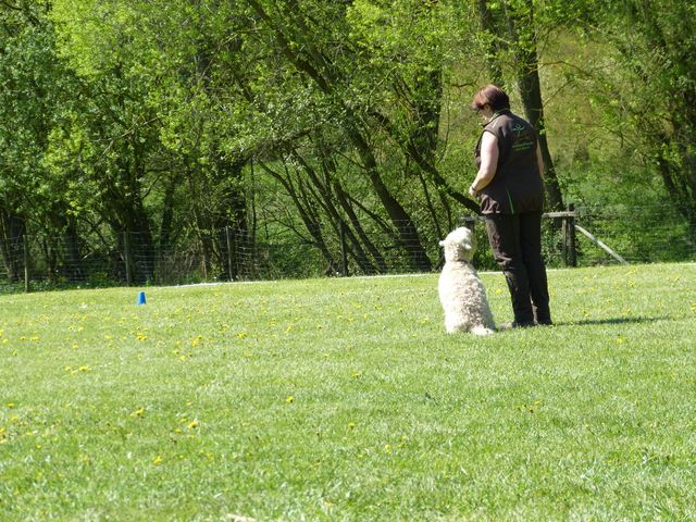 Obi-Prüfung 2016