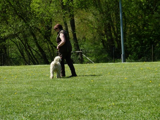 Obi-Prüfung 2016