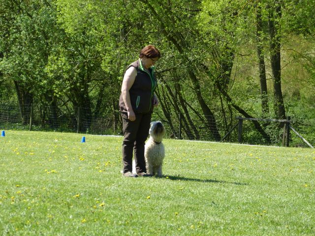 Obi-Prüfung 2016