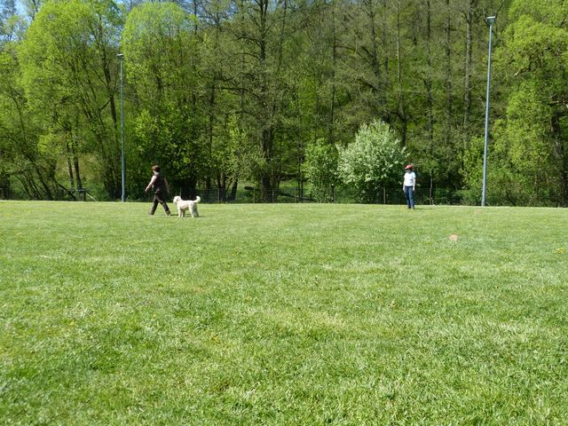 Obi-Prüfung 2016