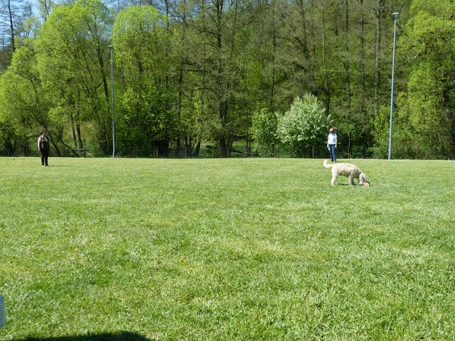 Obi-Prüfung 2016