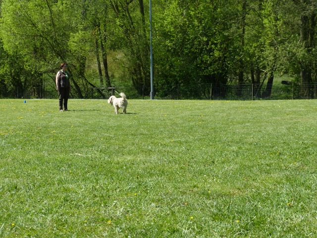 Obi-Prüfung 2016