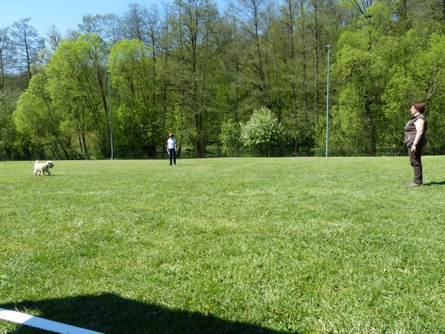 Obi-Prüfung 2016