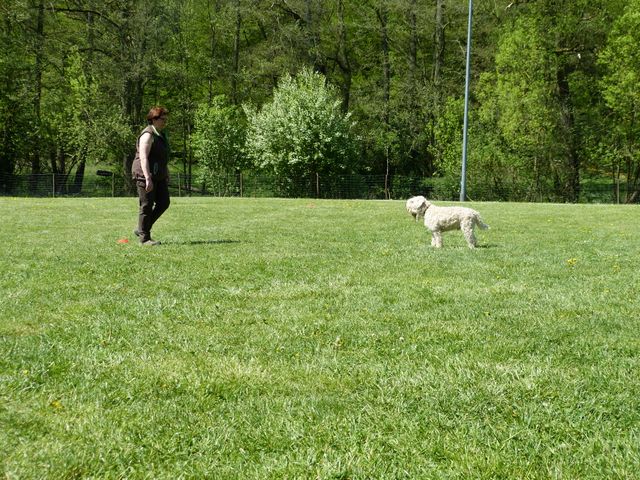 Obi-Prüfung 2016