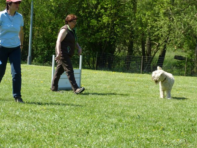 Obi-Prüfung 2016