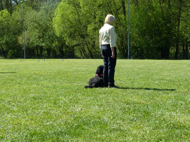 Obi-Prüfung 2016
