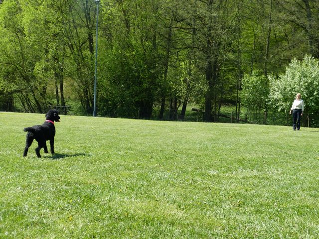 Obi-Prüfung 2016