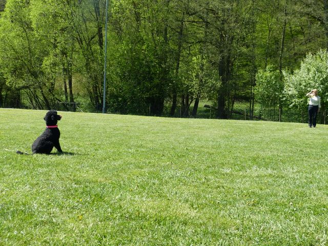 Obi-Prüfung 2016