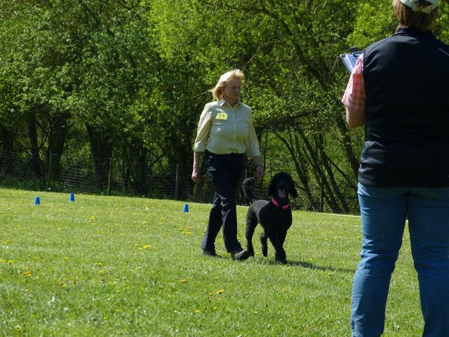 Obi-Prüfung 2016