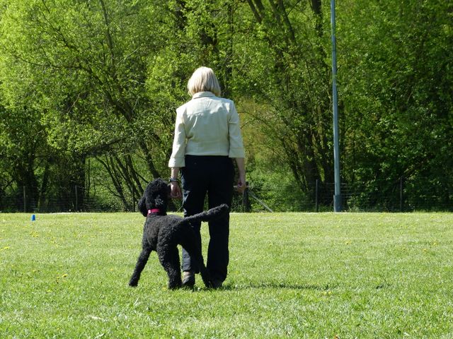 Obi-Prüfung 2016