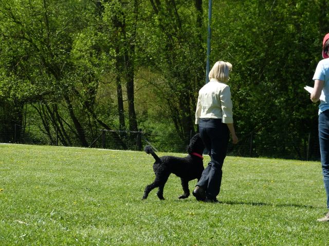 Obi-Prüfung 2016