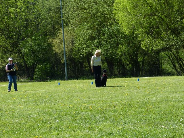 Obi-Prüfung 2016