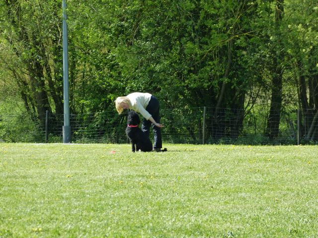 Obi-Prüfung 2016