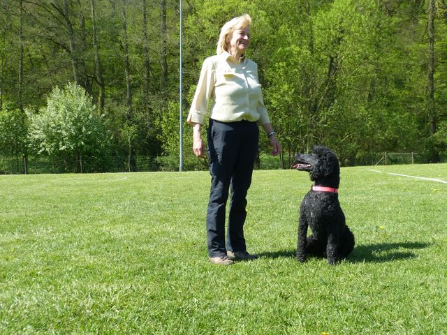 Obi-Prüfung 2016