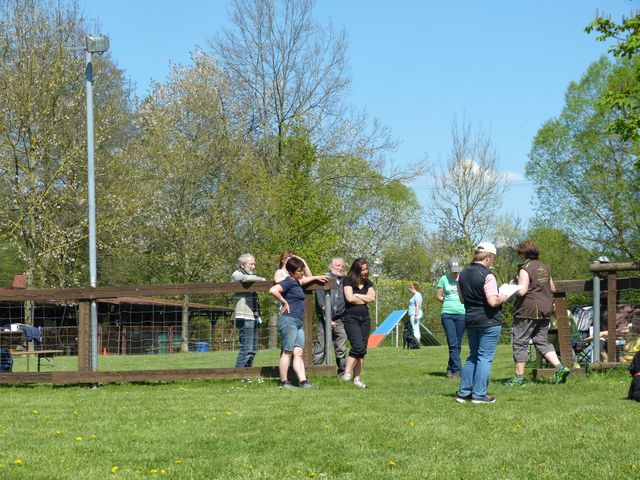 Obi-Prüfung 2016