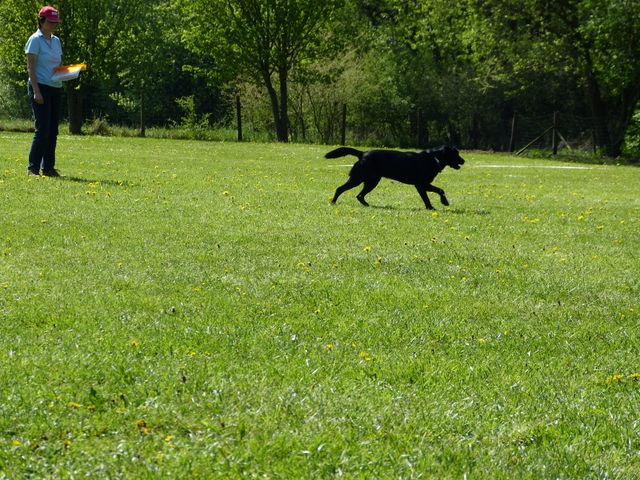 Obi-Prüfung 2016