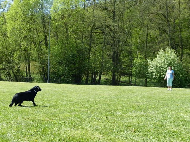 Obi-Prüfung 2016