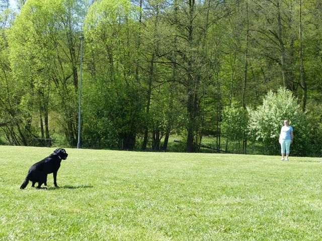Obi-Prüfung 2016
