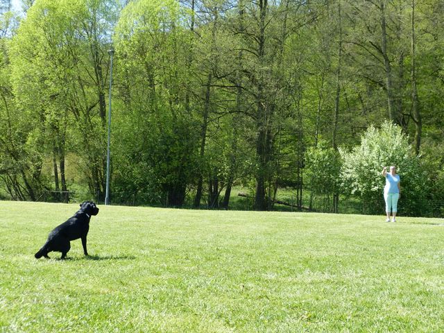 Obi-Prüfung 2016