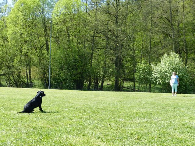 Obi-Prüfung 2016