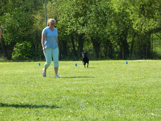 Obi-Prüfung 2016