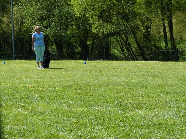 Obi-Prüfung 2016