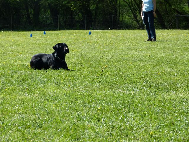 Obi-Prüfung 2016