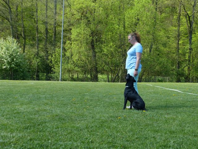 Obi-Prüfung 2016