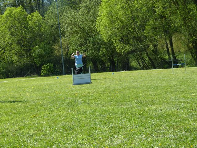 Obi-Prüfung 2016