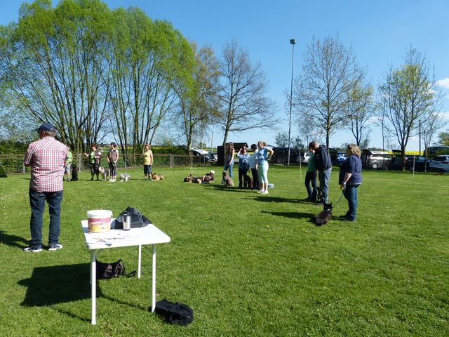 Obi-Prüfung 2016