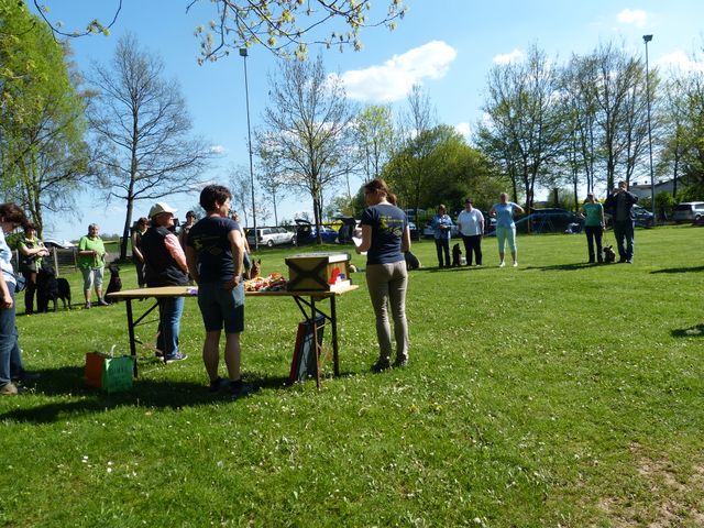 Obi-Prüfung 2016