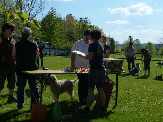 Obi-Prüfung 2016