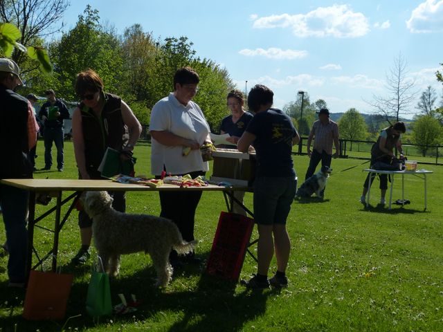 Obi-Prüfung 2016