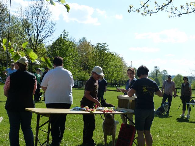 Obi-Prüfung 2016