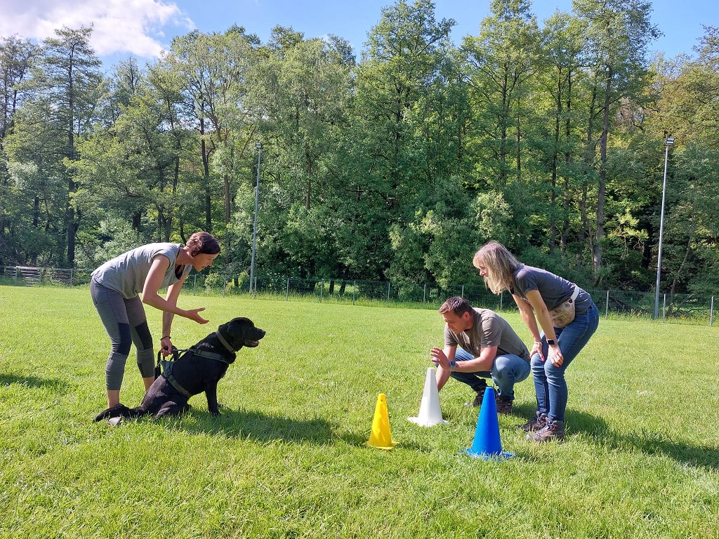 Obi-Seminar mit Anne