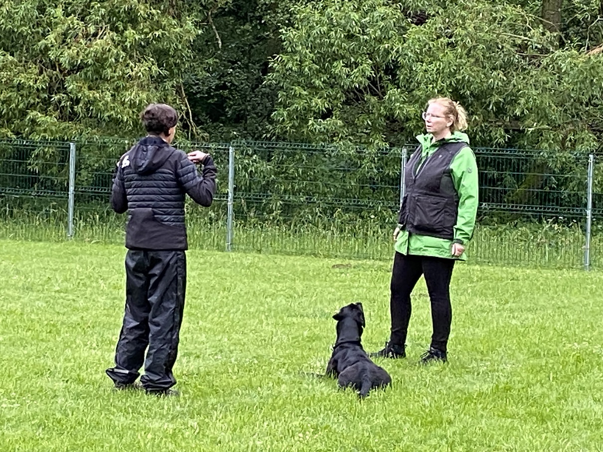 Obi-Seminar mit Anne