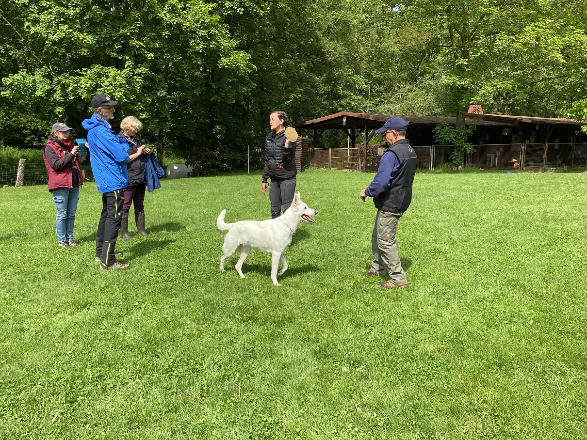 Obi-Seminar mit Anne
