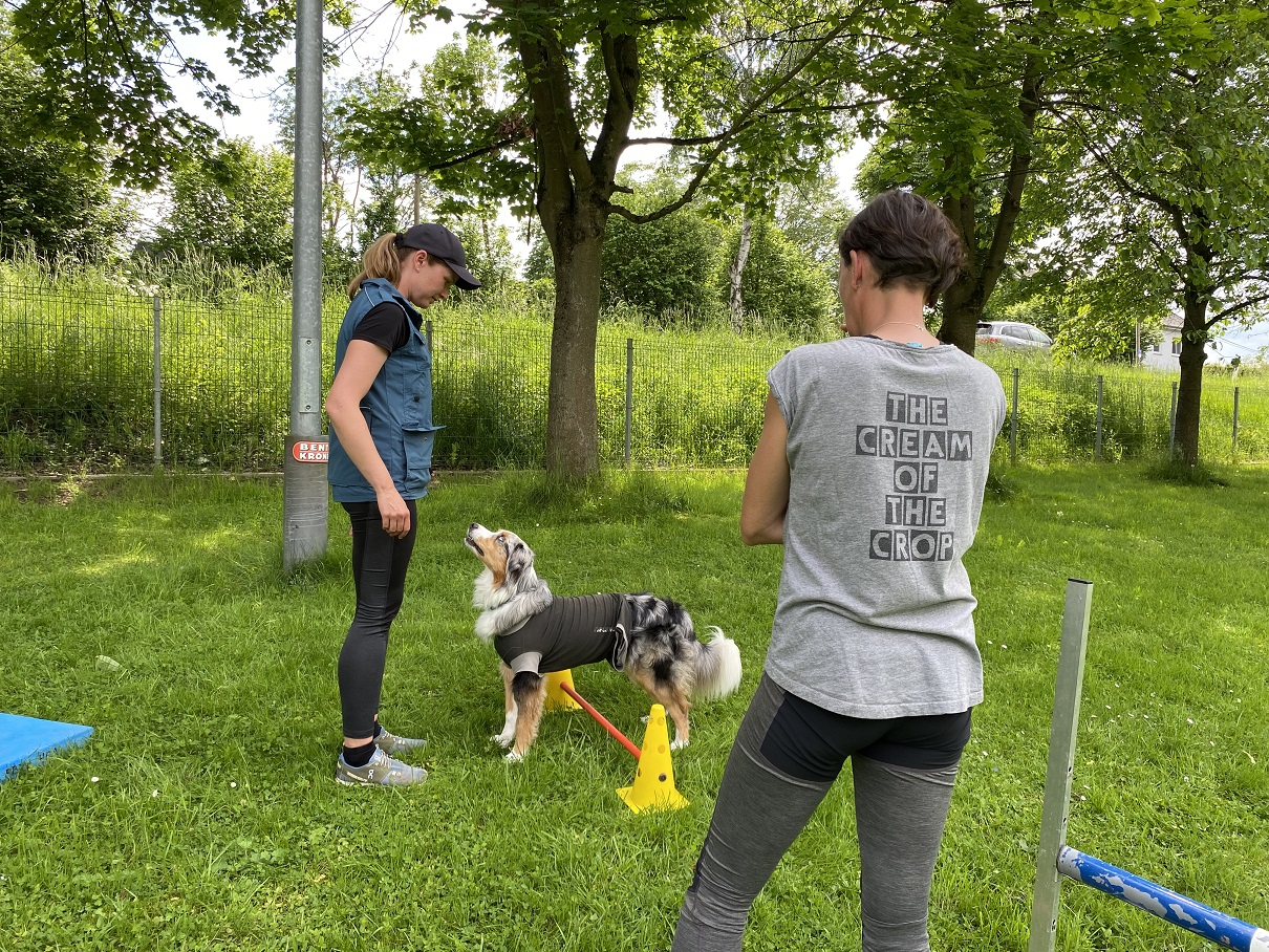 Obi-Seminar mit Anne