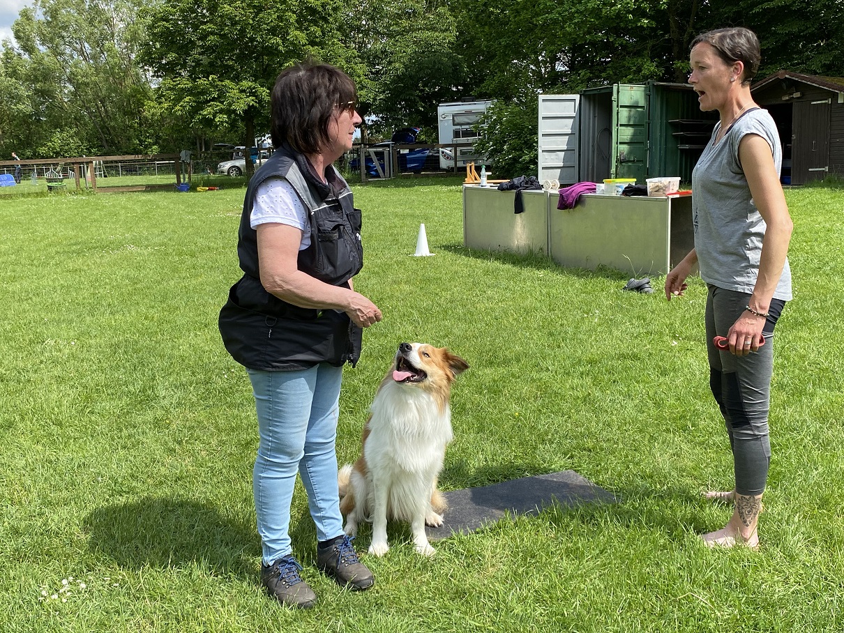 Obi-Seminar mit Anne