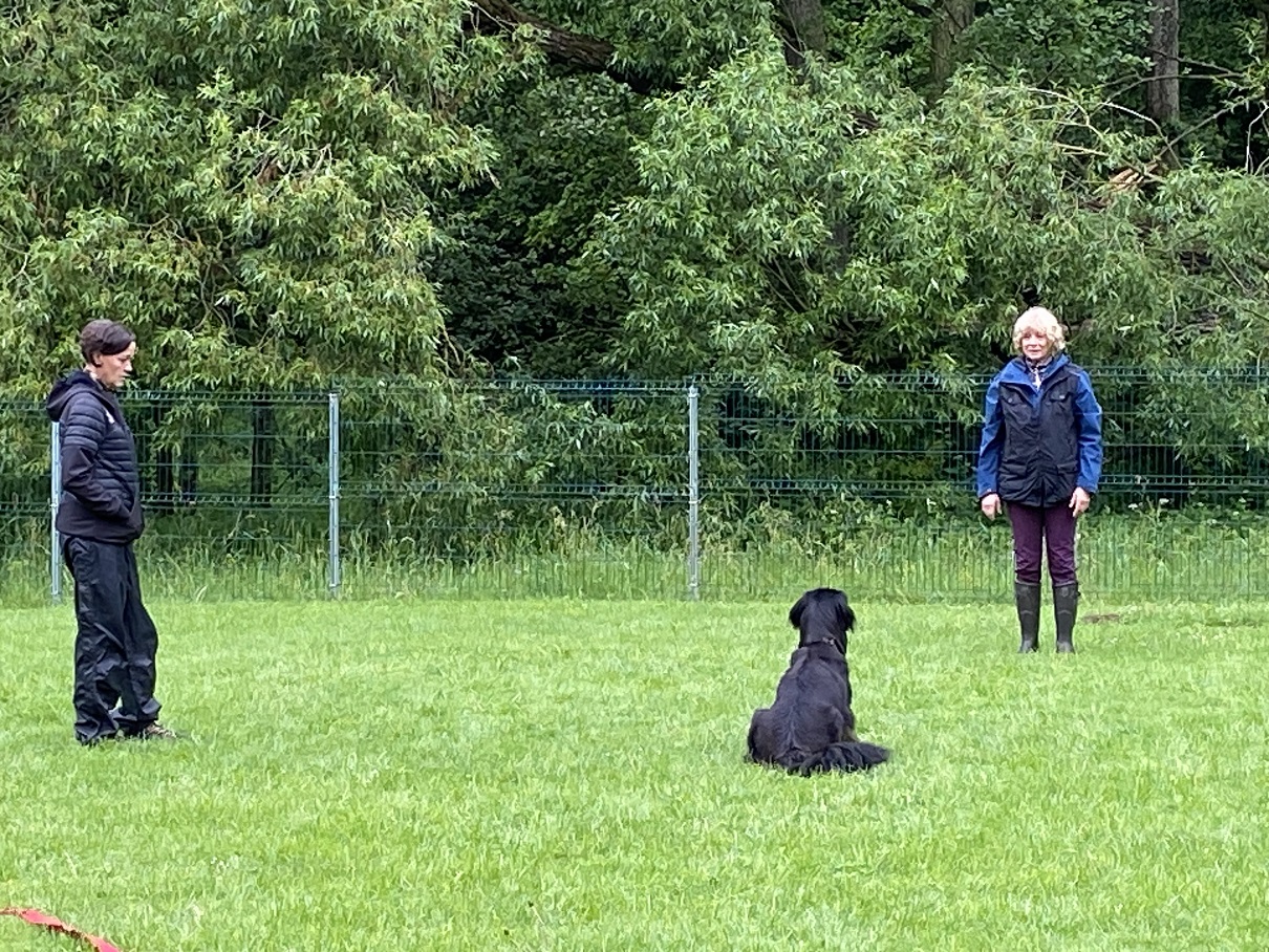 Obi-Seminar mit Anne